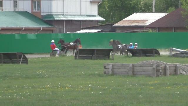 Для лошадей рысистых пород 3-х лет, 1600 м 01.06.2019. Абаканский ипподром смотреть онлайн