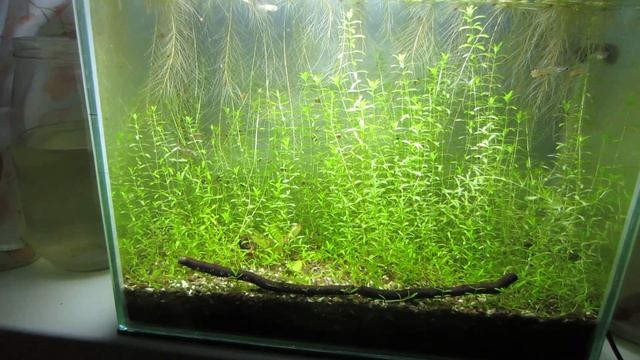 14 литров на окне без фильтра смотреть онлайн