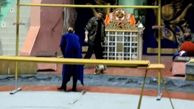 ОТКРЫТАЯ РЕПЕТИЦИЯ С МЕДВЕДЯМИ .09-02-17 смотреть онлайн