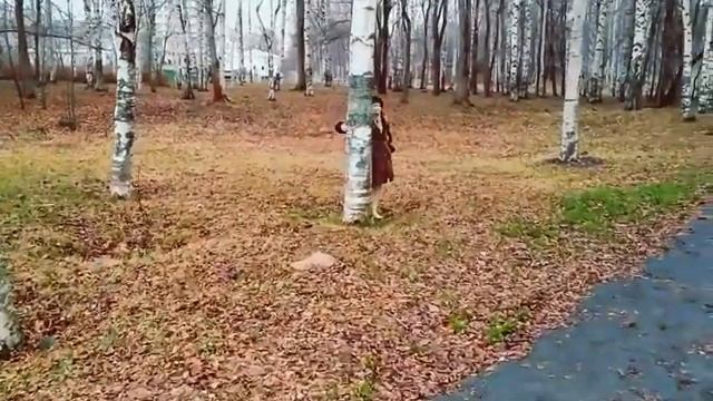 Зеркало-Река.mp4 смотреть онлайн