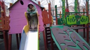 24 ЧАСА В ДОМИКЕ НА ДЕРЕВЕ С КОТОМ И СОБАКОЙ | ЗАБЫЛИ КЛЮЧИ ОТ ДОМА, ЖИВЕМ НА УЛИЦЕ!