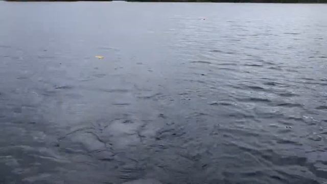 Как использовать планер (кораблик) при ловли щуки троллингом и для установки нескольких удилищ