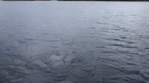 Как использовать планер (кораблик) при ловли щуки троллингом и для установки нескольких удилищ