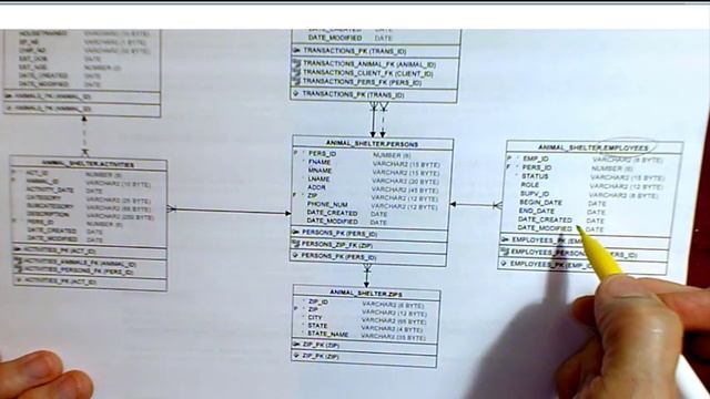 APEX03.DB02: Relational database concepts and terms (entity, primary key, foreign key, etc.) смотреть онлайн