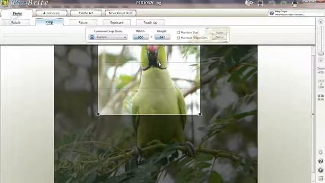 easy crop rotate смотреть онлайн