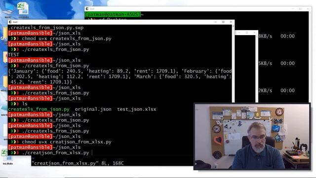 Convert json to xls and back via openpyxl w/python смотреть онлайн