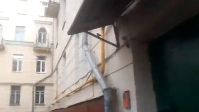 Воробей поет смотреть онлайн
