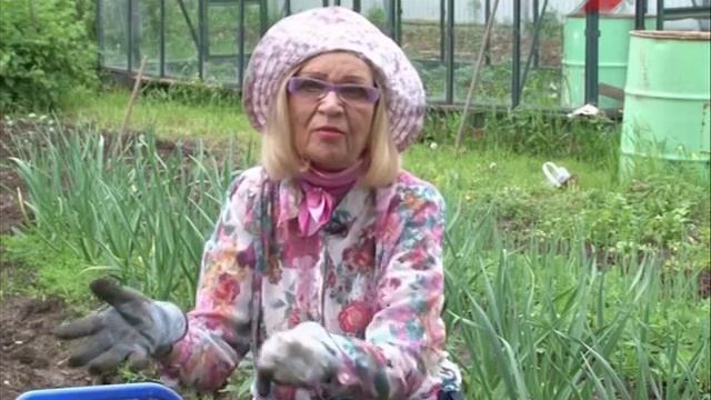 Лучки Пучки. Серия 235. Посев семян моркови в открытый грунт. смотреть онлайн