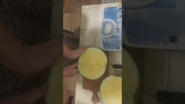 Арбуз Тропикал Саншайн в Нижегородской области Семеновский район. смотреть онлайн