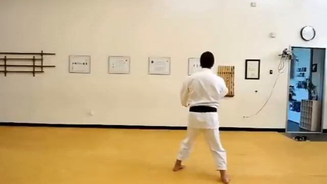 12 Хангетсу (с комментариями)