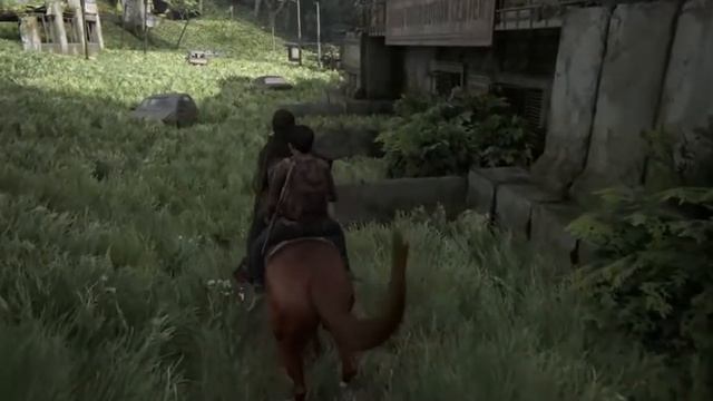 Для севера смотреть онлайн