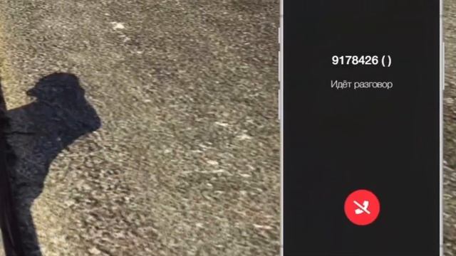 ДОСТАЮ ИГРОКОВ ЧЕРЕЗ СЕЛФИ КАМЕРУ НА БЛЭКБЕРРИ ГТА 5 РП / GTA 5 RP BLACKBERRY