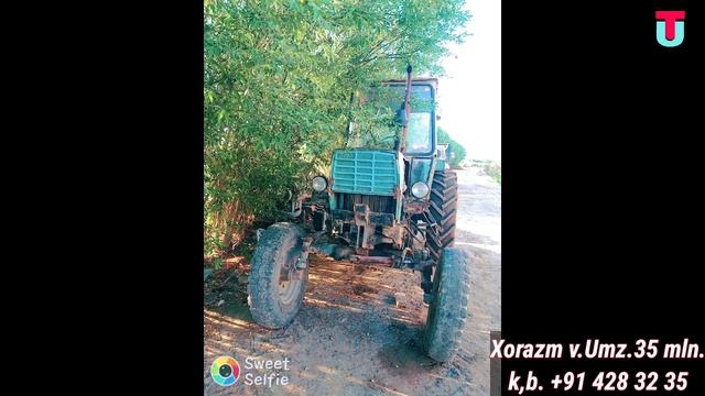 Mtz 80, Umz, T 28, Umz pagruzchik, Traktor narxlari, Uzbekiston buylab, Трактор нархлари, тракто. смотреть онлайн