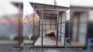 Как сделать вольер для собаки своими руками — обустраиваем жилище для любимого охранника
