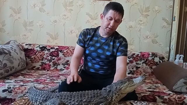 История жизни моего нильского крокодила "Славика" смотреть онлайн