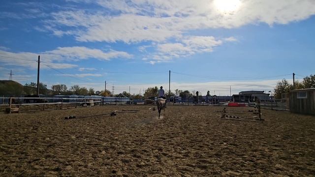 Фиона. Новая кобыла на конюшне. 5 лет девочке. 4й день в работе! смотреть онлайн