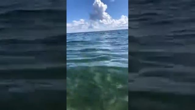 10 августа 2020 г. - Медитация у океана смотреть онлайн