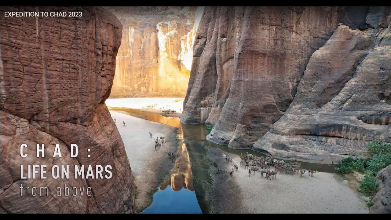 EXPEDITION TO CHAD 2023