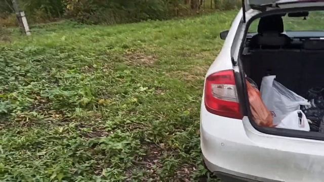 Расширяю свои владения #дача #деревня #огород #участок смотреть онлайн