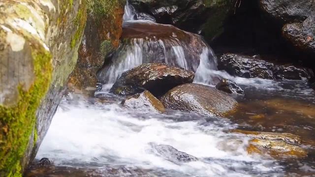 🔴JAPAN Relax in the rain and the canyon.Relaxing Water Sounds. White noise for sleeping. смотреть онлайн