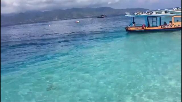 335-Я Хочу Признаться  Вновь.., Я Люблю Твои Глаза... с Днем Рождения Донночка!!!