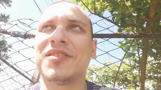 TWS Bluetooth наушники LG за 1500 рублей АВТОР ИДЕИ ЯН ДМИТРИЕВИЧ КРЮКОВ 12 июня 2023 года смотреть онлайн