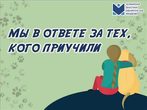 Мы в ответе за тех, кого приручили смотреть онлайн