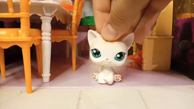 у меня сегодня день рождение!!! Мои новые LPS смотреть онлайн
