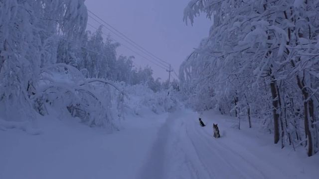 Поход на гору Полюд (Полюдов камень) (Красновишерский р-н) смотреть онлайн