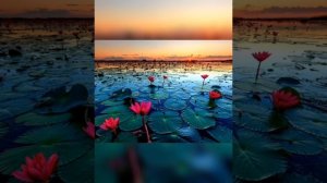 Мантра Чаттр Чаккр Варти (Chattr Chakkr Vartee) устраняет страхи, фобии,  депрессию