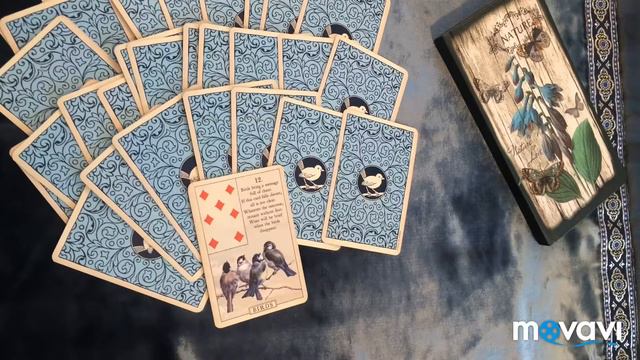 Blue bird Lenormand/голубая птица Ленорман. Таро, оракул. Перевод. Птицы