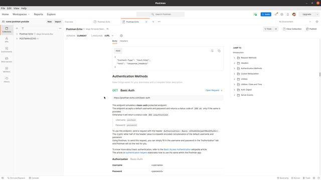 11. curso de POSTMAN - Autenticación Básica смотреть онлайн