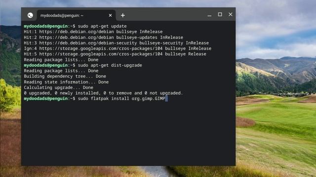 ChromeOS | Linux Development Environment | Install GIMP onto a Chromebook смотреть онлайн