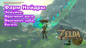 Фарм Нейдры. Чешуйка, Фрагмент рога, Фрагмент зуба, Коготь. The Legend of Zelda: Breath of the Wild.