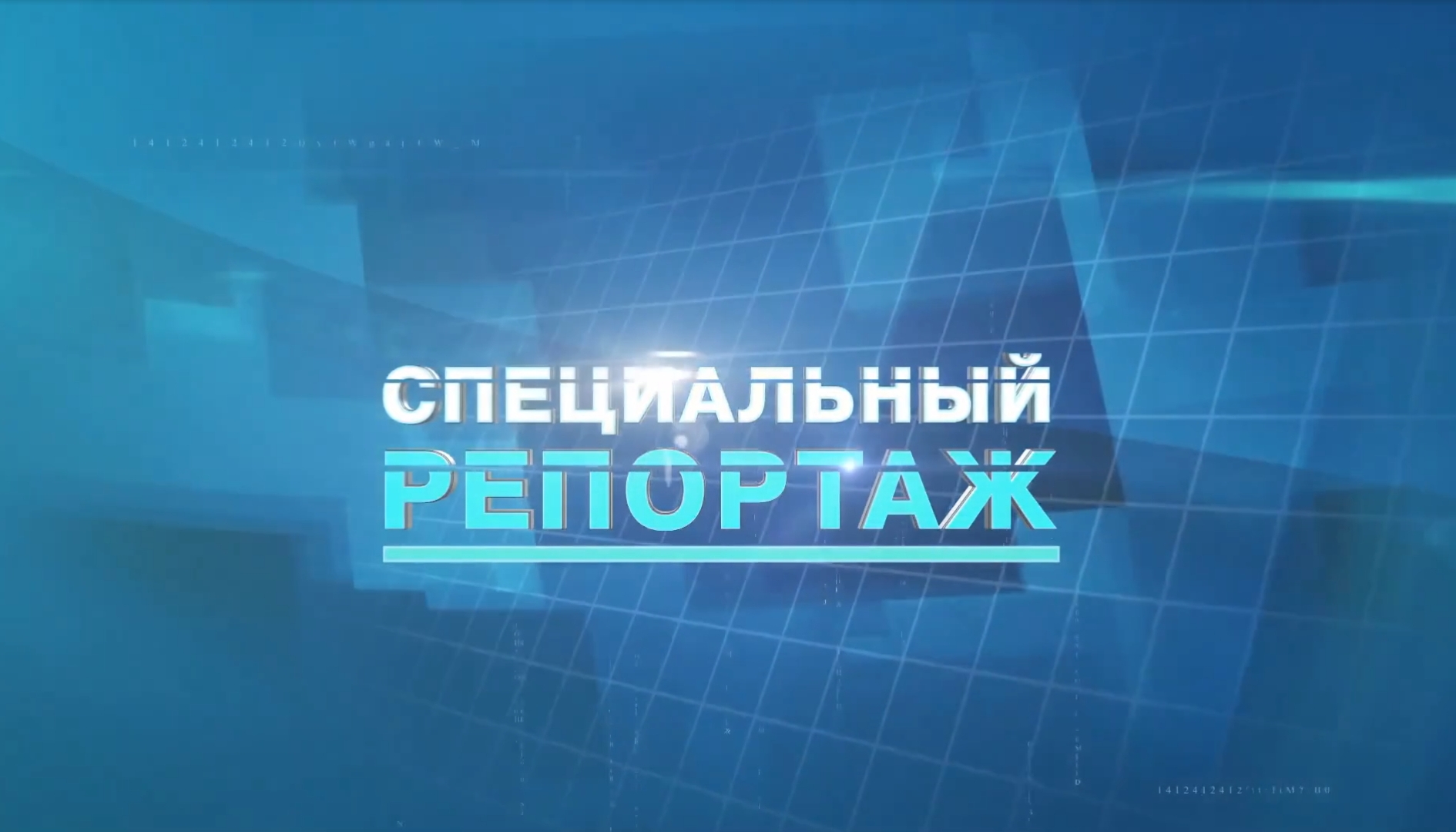 Спецрепортаж. Всех бездомных собак из алтайского райцентра увезут в Славгород смотреть онлайн