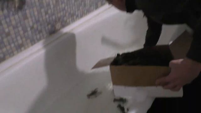 Варим Живых Раков