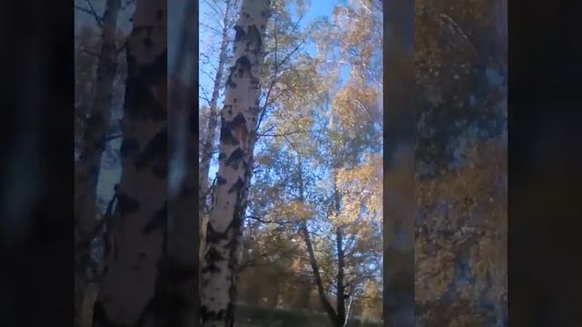 Осень.Челябинск.Славино. смотреть онлайн