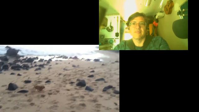 metronome test stream смотреть онлайн