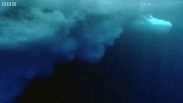 Leopard Seal Kills Emperor Penguin | Blue Planet | BBC Earth смотреть онлайн