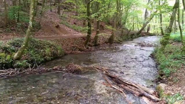 РЕЛАКС.. МЕЛОДИЯ ДЛЯ ДУШИ