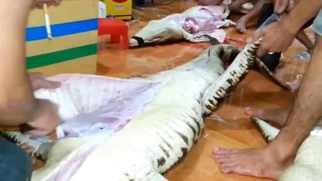 Разделка крокодила-3 смотреть онлайн