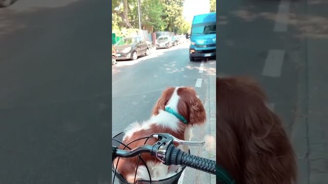Курбан Омаров в сторис 02.07.2019. смотреть онлайн