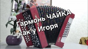 Гармонь как у Игоря Растеряева