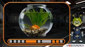 03 Вода Свойства воды