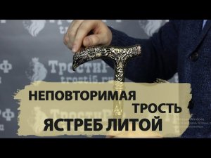 Трость стилет Ястреб литой (Обзор)