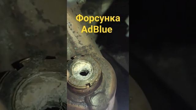 Форсунку AdBlue нужно менять Citroen, Peugeot, Renault смотреть онлайн