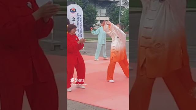 Краски Цигун на Форуме _Россия_