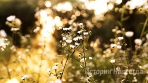 Ты забыла, где твое место? Сказал с ухмылкой муж. А спустя год произнося речь в ресторане…