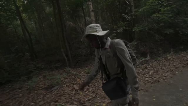 I Survived 50 Hours On A Deserted Island смотреть онлайн