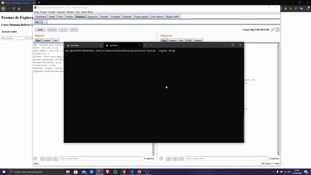 Cross Domain Referer Leakage - Coletando Dados + XSS Bônus смотреть онлайн